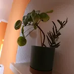 海滩公寓 * 斯普利特