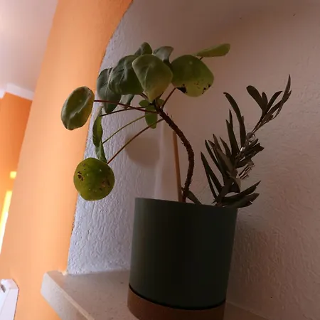 Apartment Beach * Σπλιτ